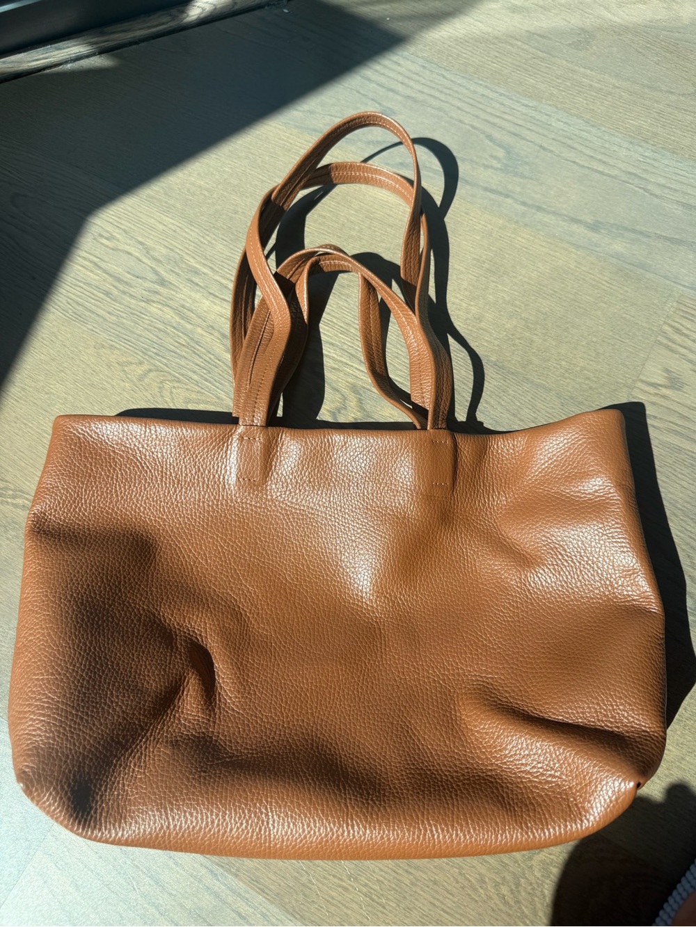 Cuyana Leather Tote in Brown